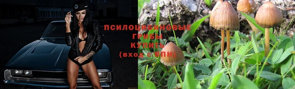 индика Заводоуковск