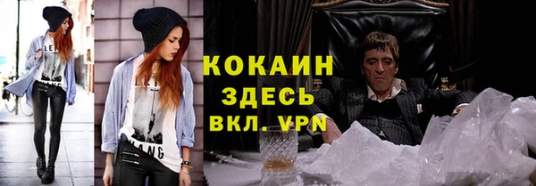 индика Заводоуковск