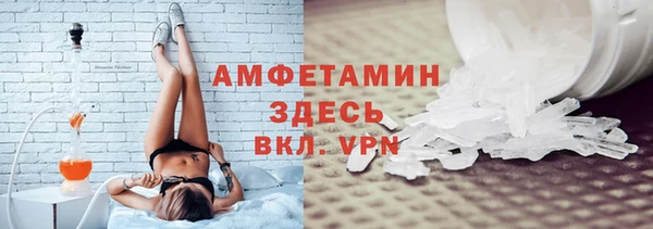 индика Заводоуковск