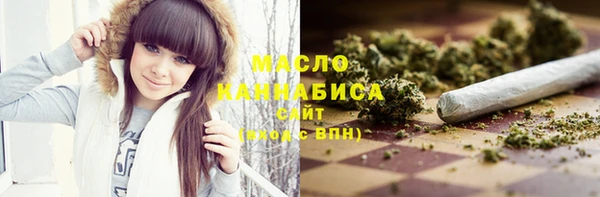 индика Заводоуковск
