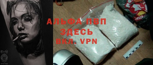 индика Заводоуковск
