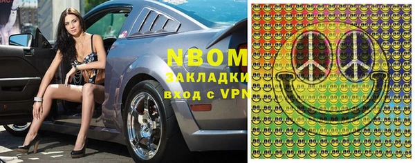индика Заводоуковск