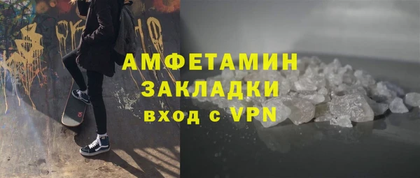 индика Заводоуковск