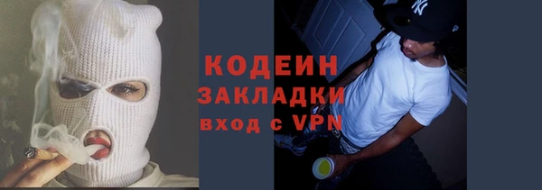 индика Заводоуковск