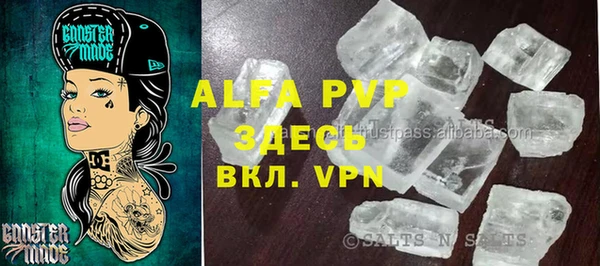 индика Заводоуковск