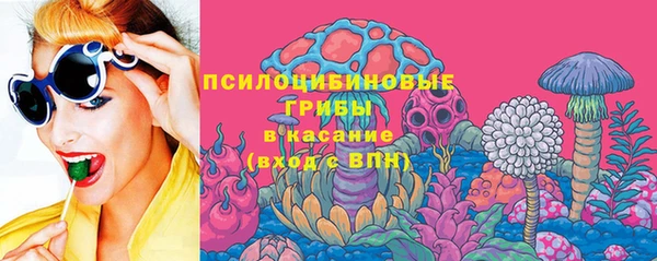 индика Заводоуковск