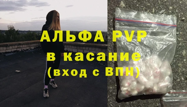 индика Заводоуковск