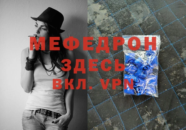 индика Заводоуковск