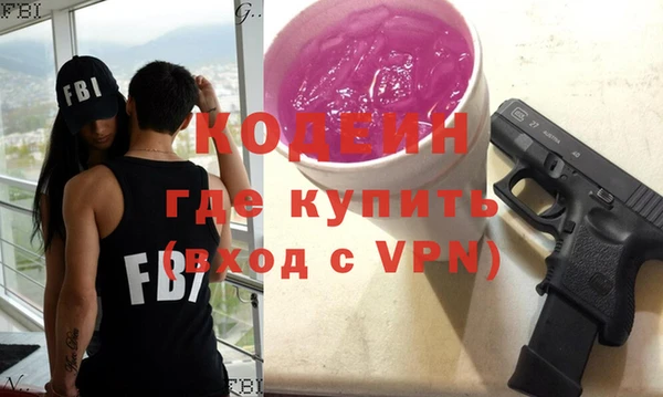 индика Заводоуковск