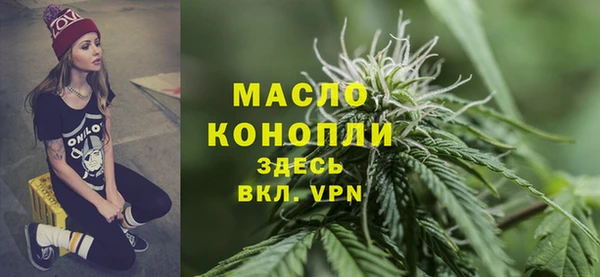 индика Заводоуковск
