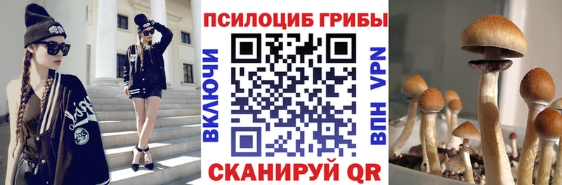 Купить где  Невьянск  Псилоцибиновые грибы мухоморы 