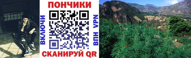 Купить закладки  Невьянск  Шишки марихуана гибрид 